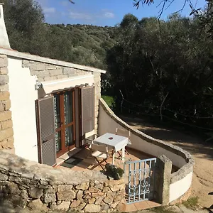 Bouganville Barrabisa